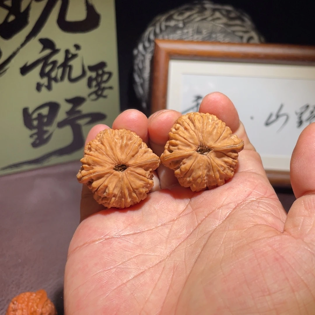 文玩核桃蛇王一抹红