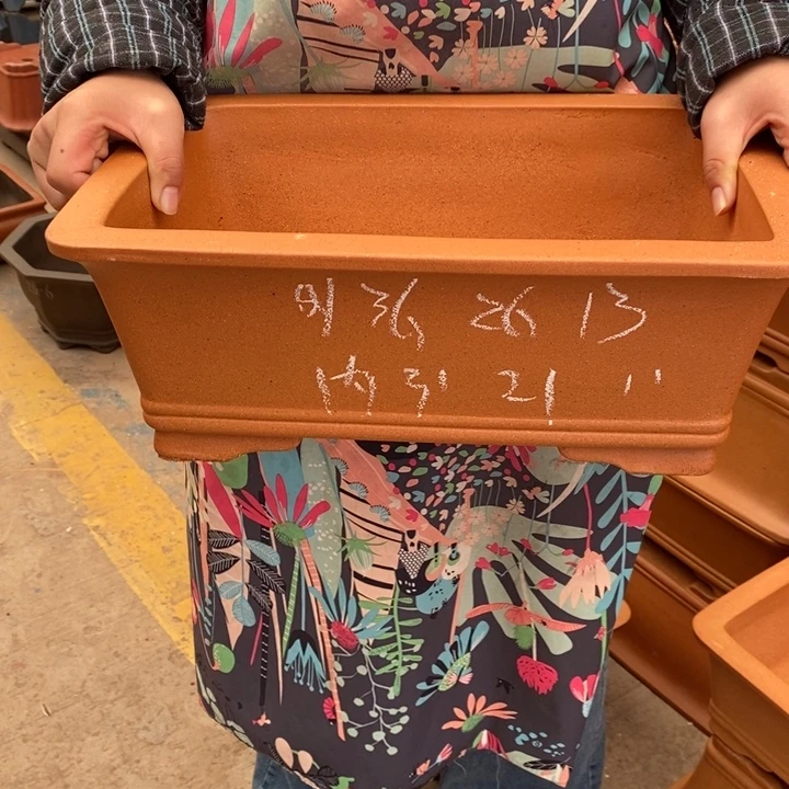 花盆紫砂只顾吃药睡