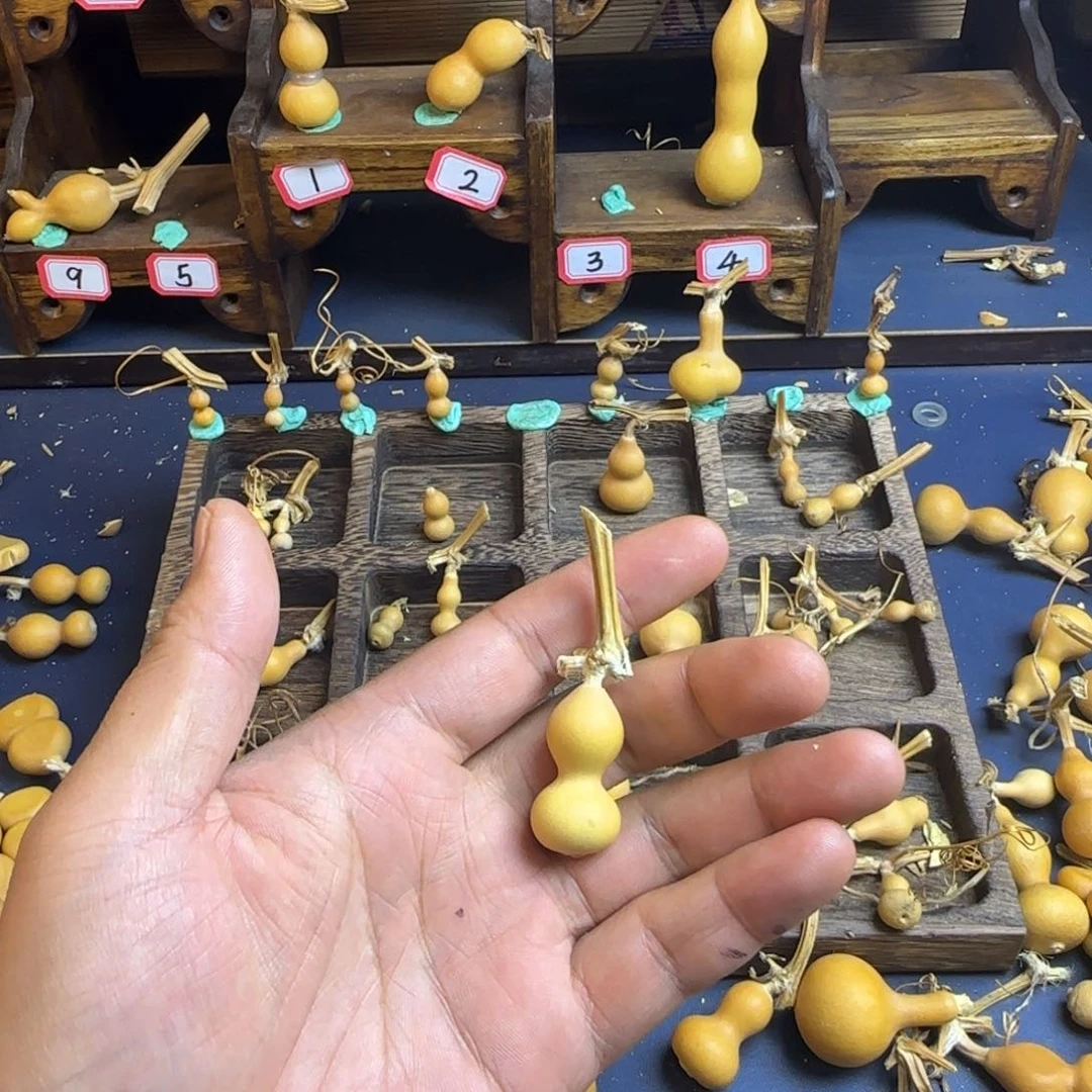 l*c我是一只小小鸟地域鬼的人生观