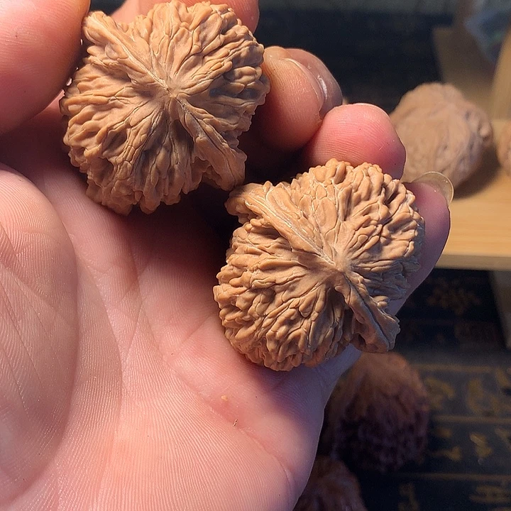 步***步大叶紫檀（黑酸枝木类）
