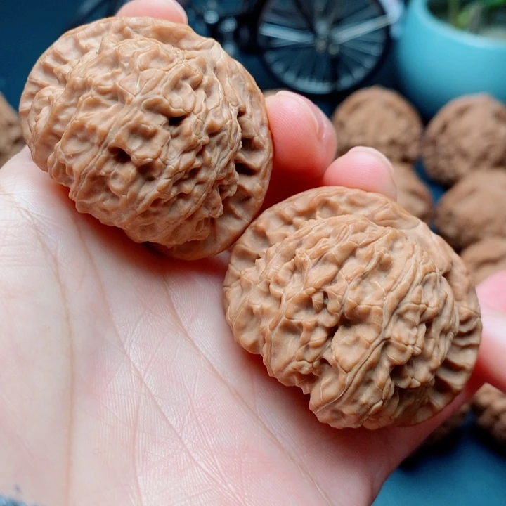 文玩核桃把件白狮子44