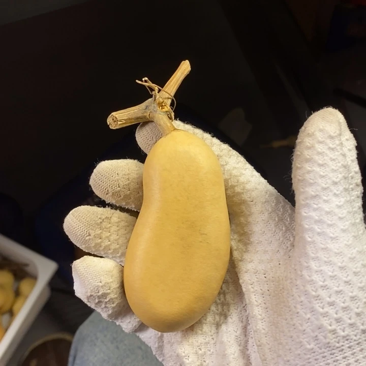 ****️大叶紫檀（黑酸枝木类）