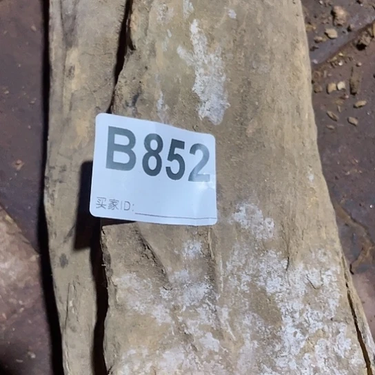 大果紫檀（缅甸花梨）M****l852