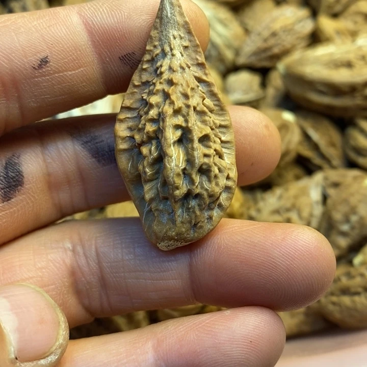 吊坠文玩核桃娜姐66
