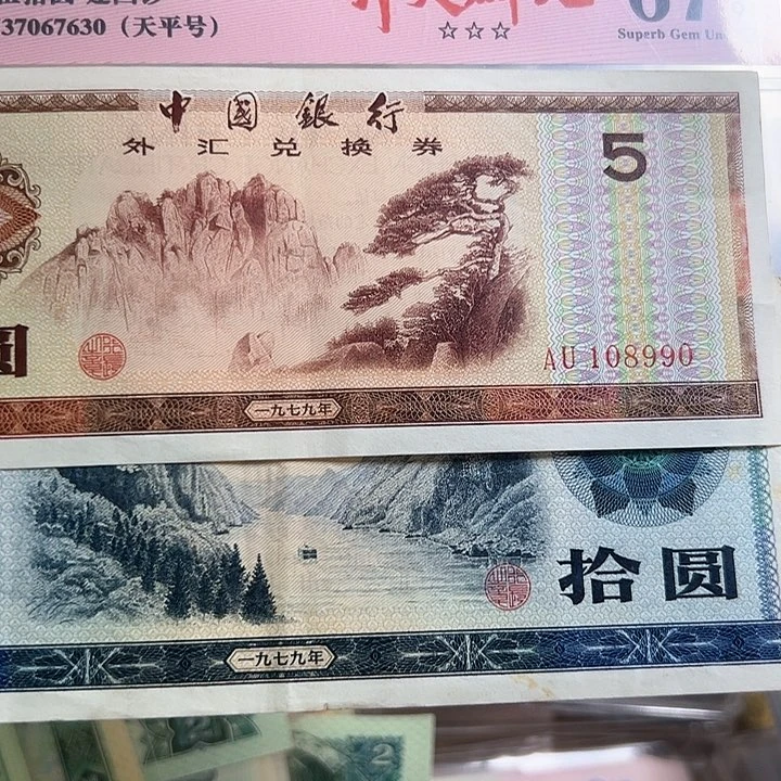 用****31979年外汇卷5块和10块各一张