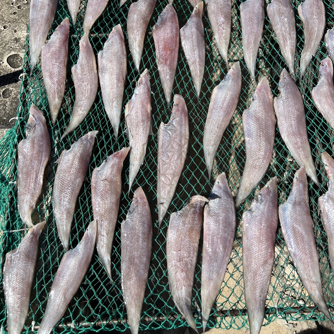 广西北海沙田纯手工龙利鱼干淡盐日晒风干海鱼干咸鱼干海鲜干货