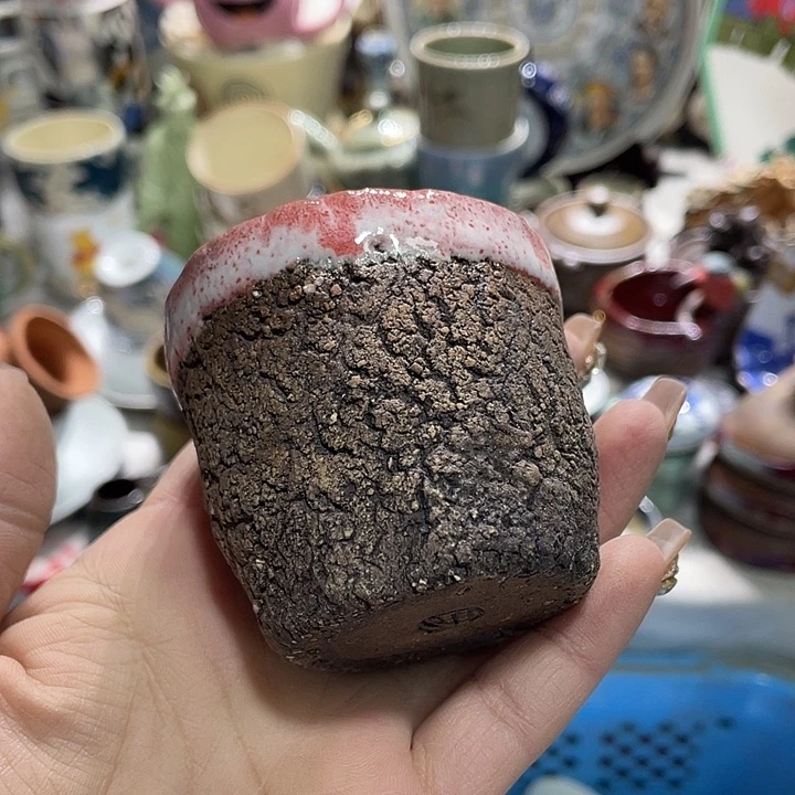 茶杯具19.9发带瑕疵牌都是坏的5