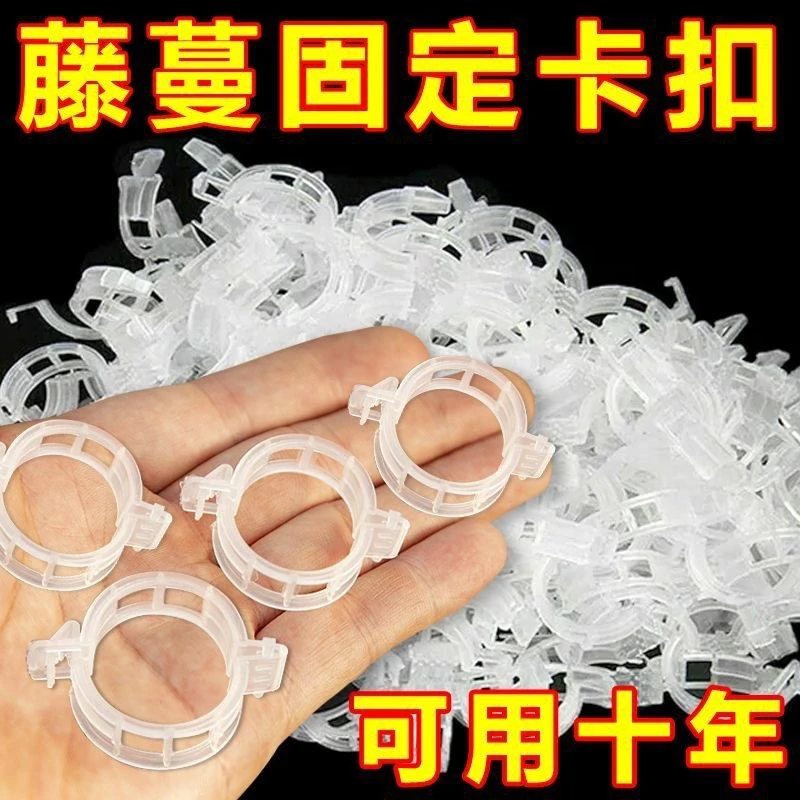 葡萄藤扶蔓秧苗固定夹绑蔓夹固定卡扣黄瓜西红柿辣椒藤蔓绿植大棚