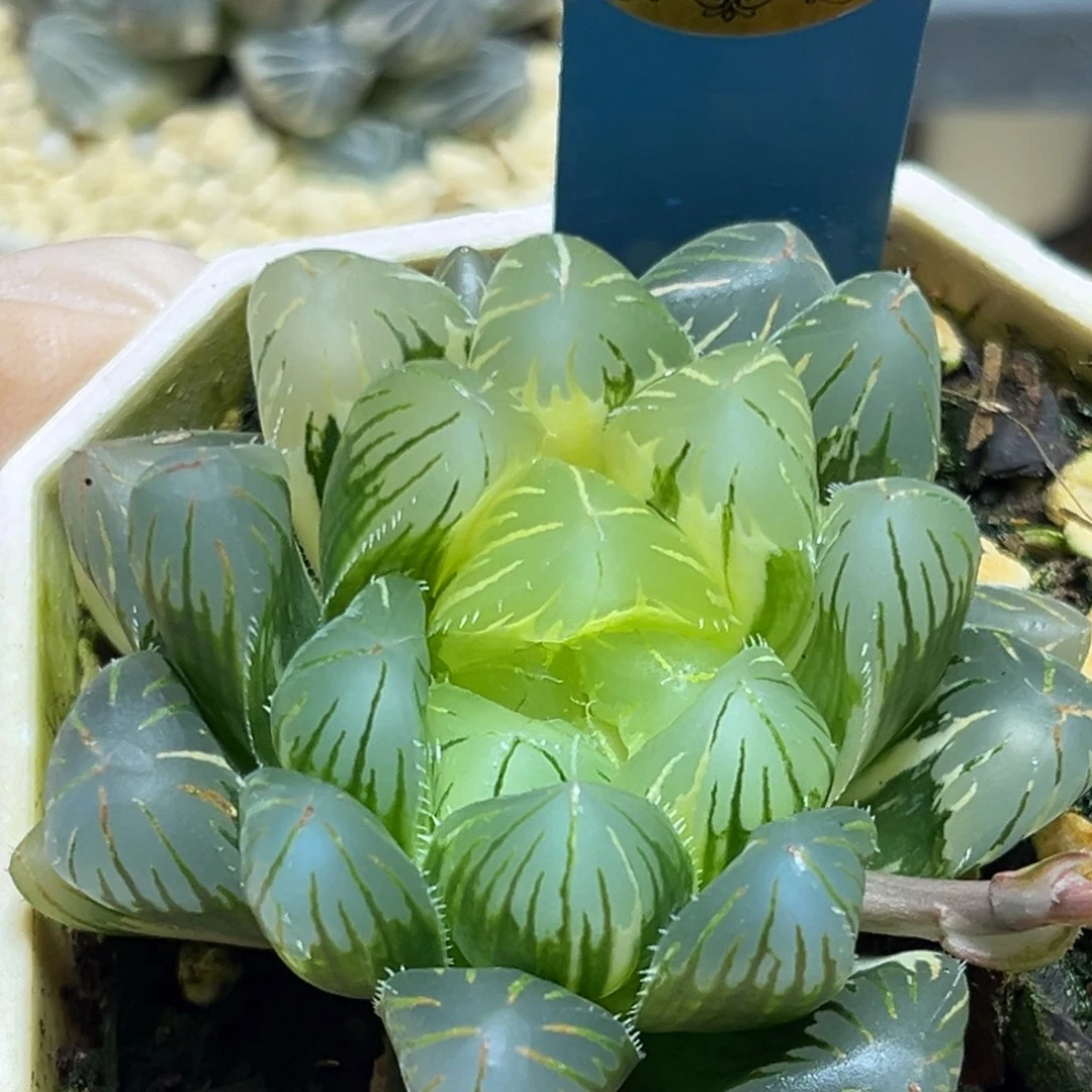 恭喜发财大吉大利0107