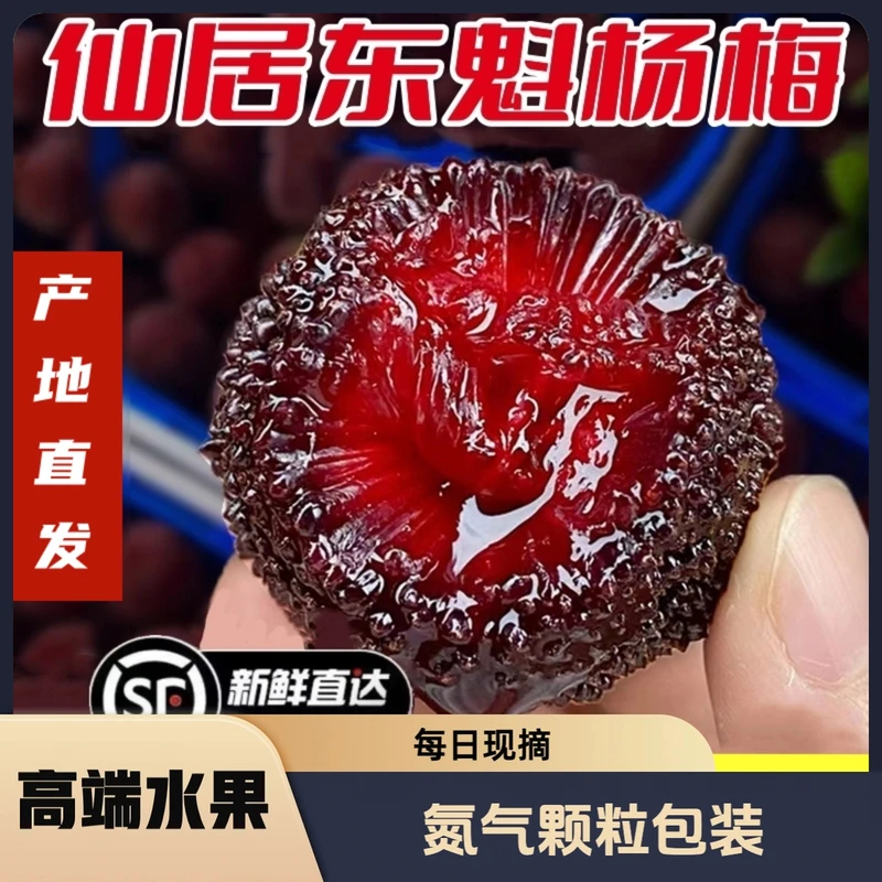 【仙居东魁杨梅】9A东魁杨梅 现采现发氮气颗粒包装新鲜