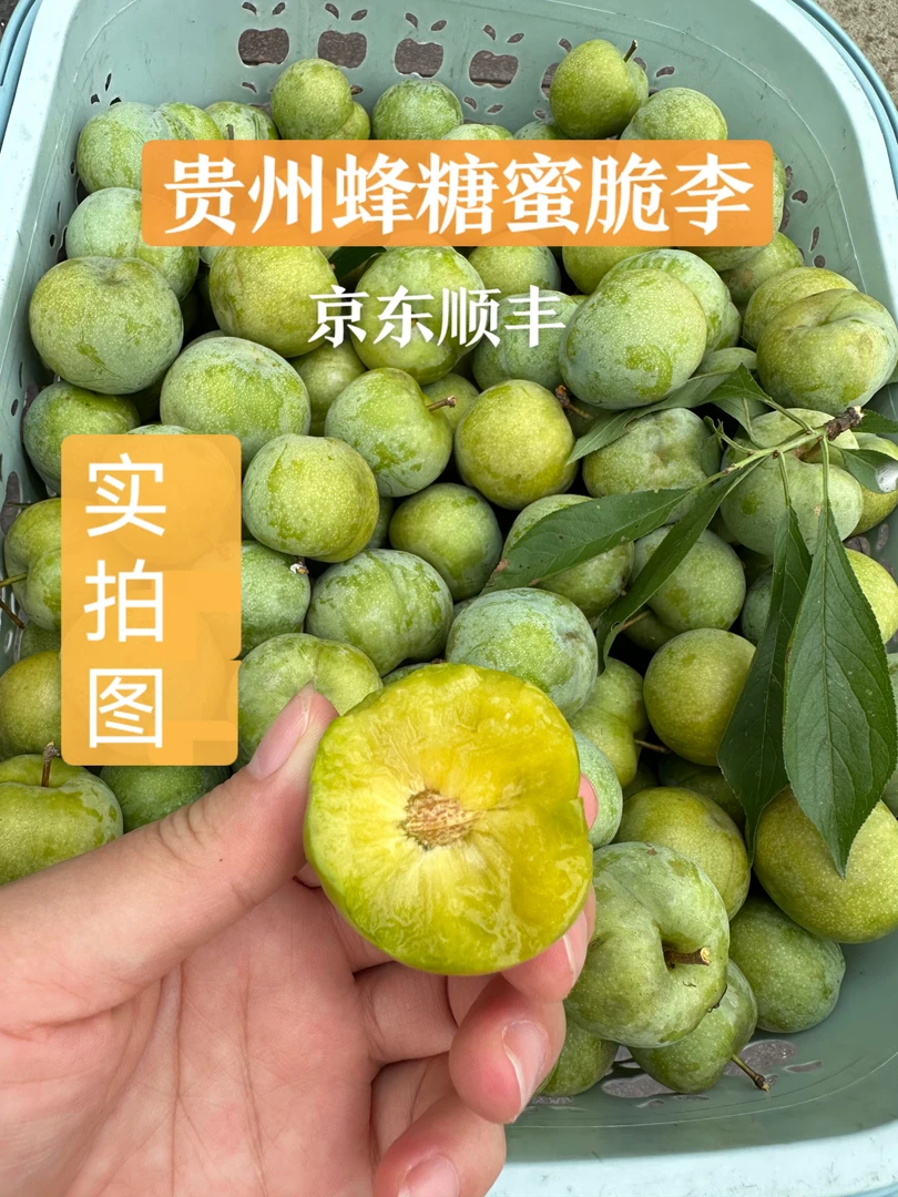 【京东/顺丰】正宗贵州蜂糖蜜脆李新鲜应季水果甜爽口青脆李子多汁