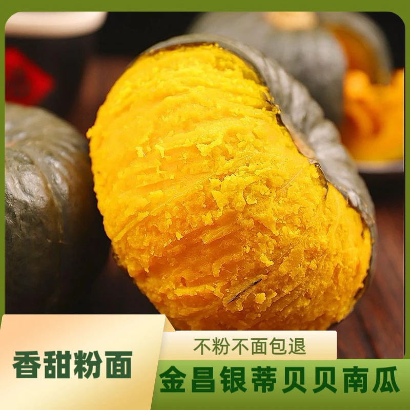 【支持试吃】金昌巴掌小贝贝南瓜包粉包面香甜粉面宝宝辅食3/5斤