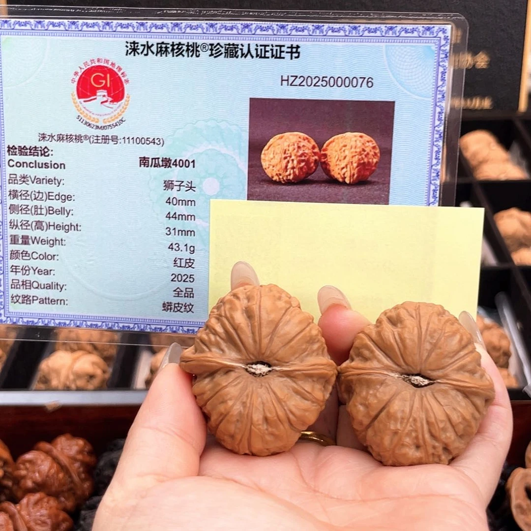 把件文玩核桃40南瓜全品大肉纹小凹底近正肩4001