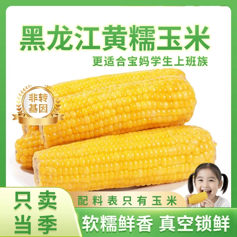【送赠品】黑龙江黄糯玉米营养粗粮甄选粗粮到手8-10支（试吃两根）