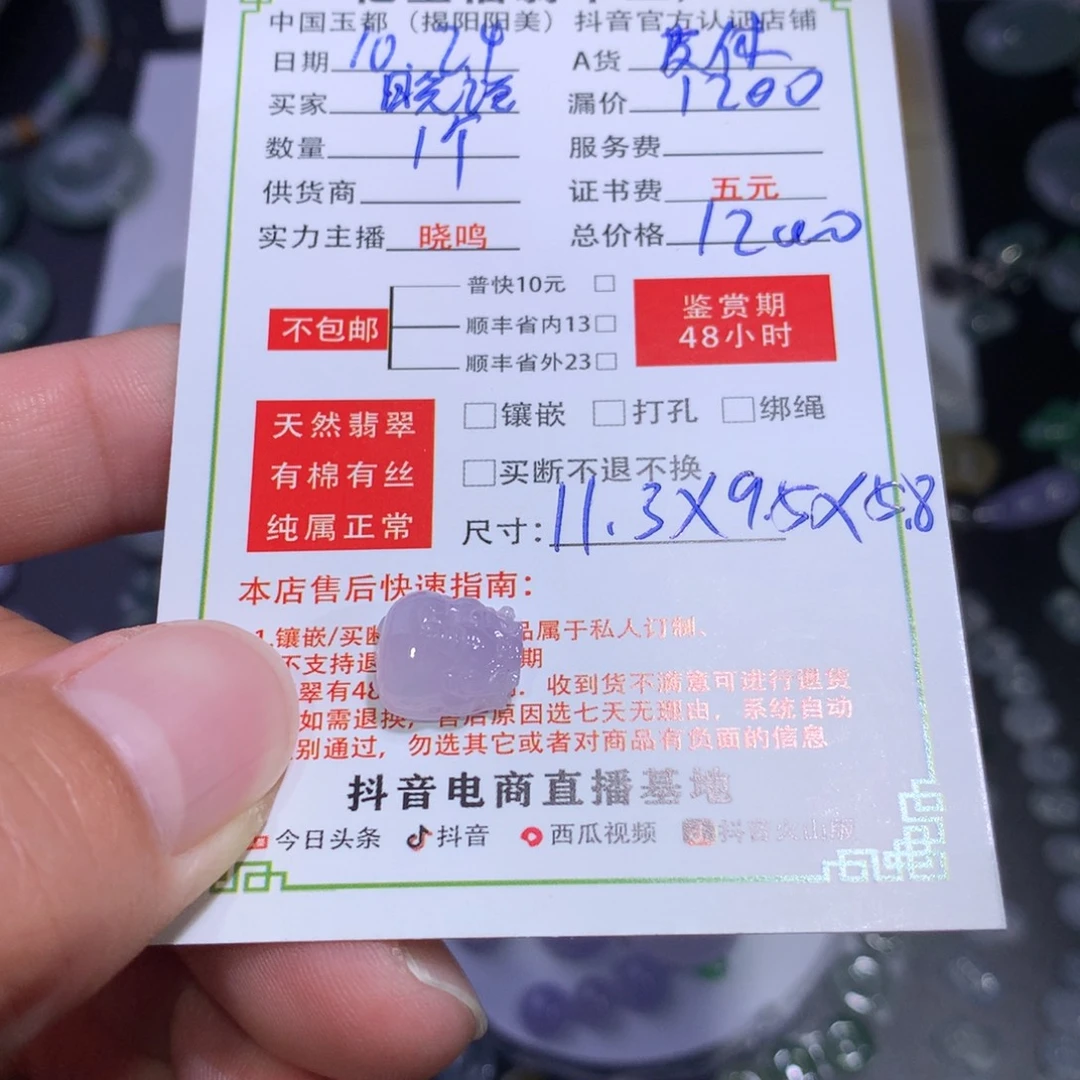 晓***～翡翠未镶嵌颈饰紫貔貅