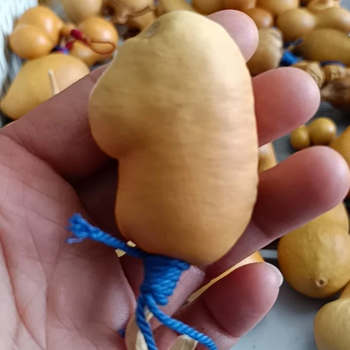 懒***说葫芦葫芦葫芦葫芦葫芦