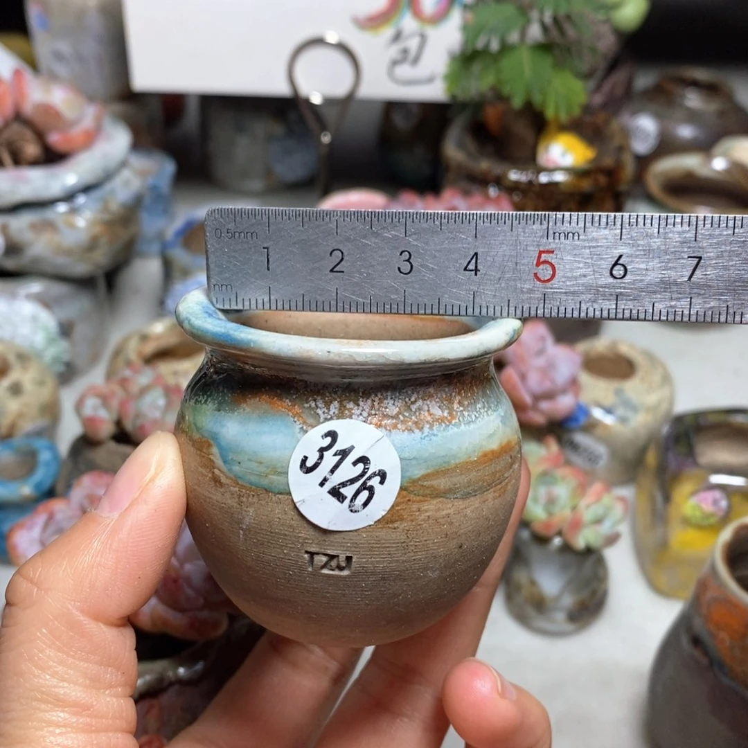 花盆拍5送一个小礼物