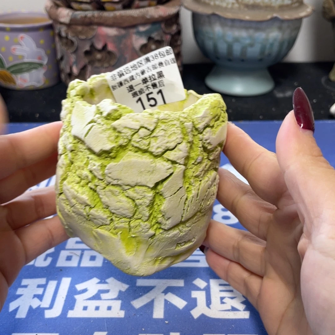特价微瑕疵不退不换哦151