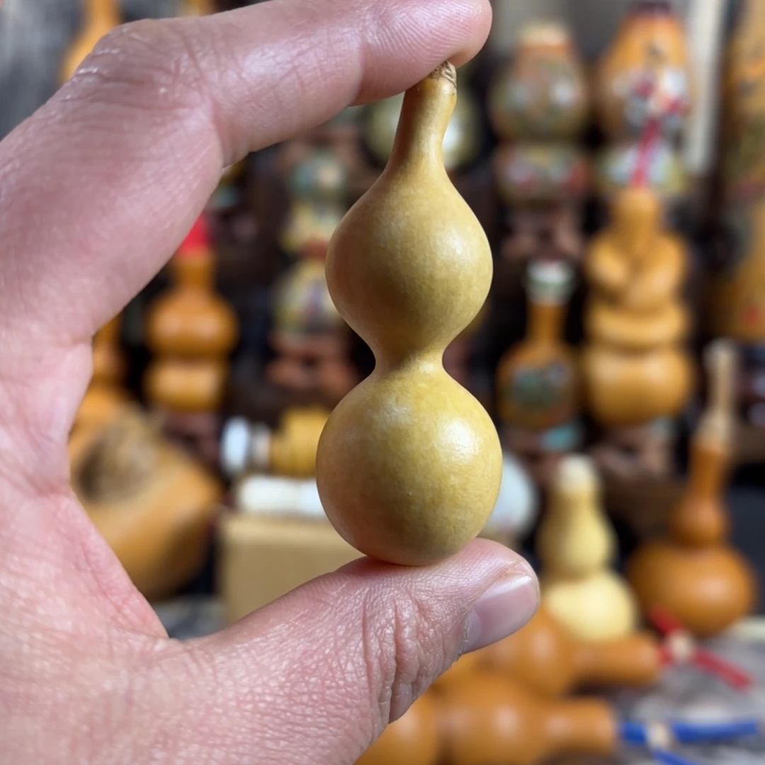 花叶天津嘴绕指柔葫芦