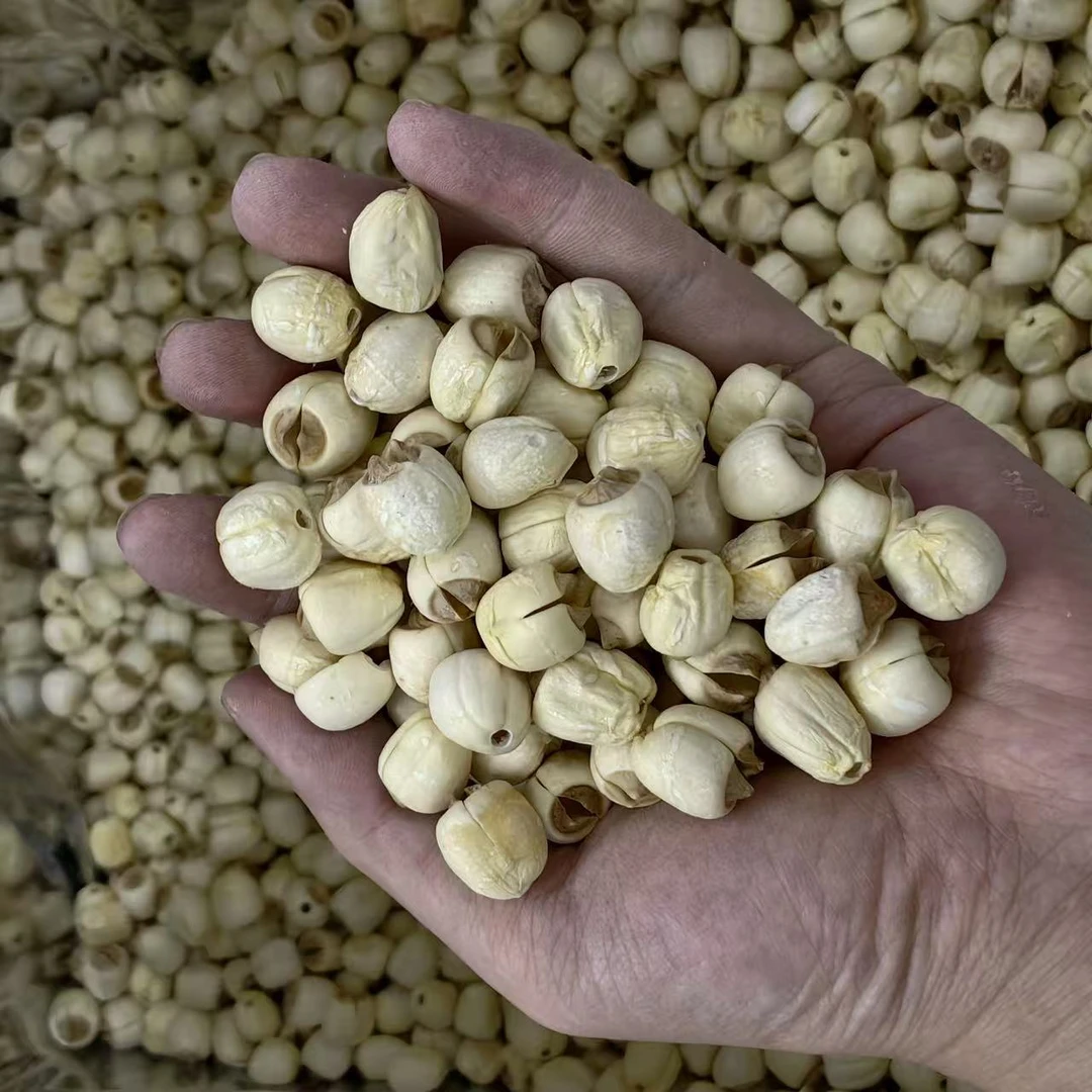 【振兴干货】去芯广昌白莲大颗粒软糯口感无硫莲子可煲汤煮粥500克