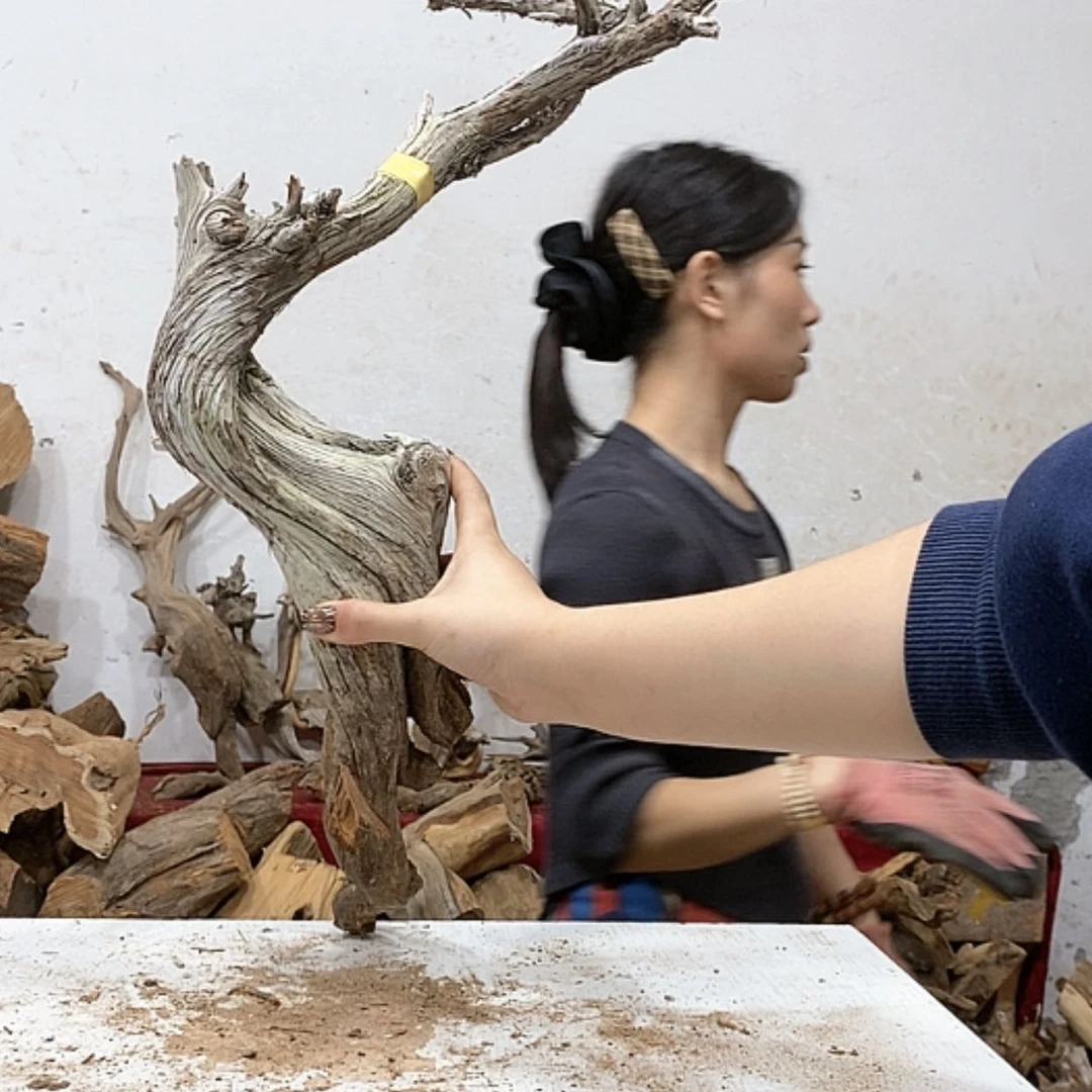 【闪购商品】柏木稳****1我们都是好孩子