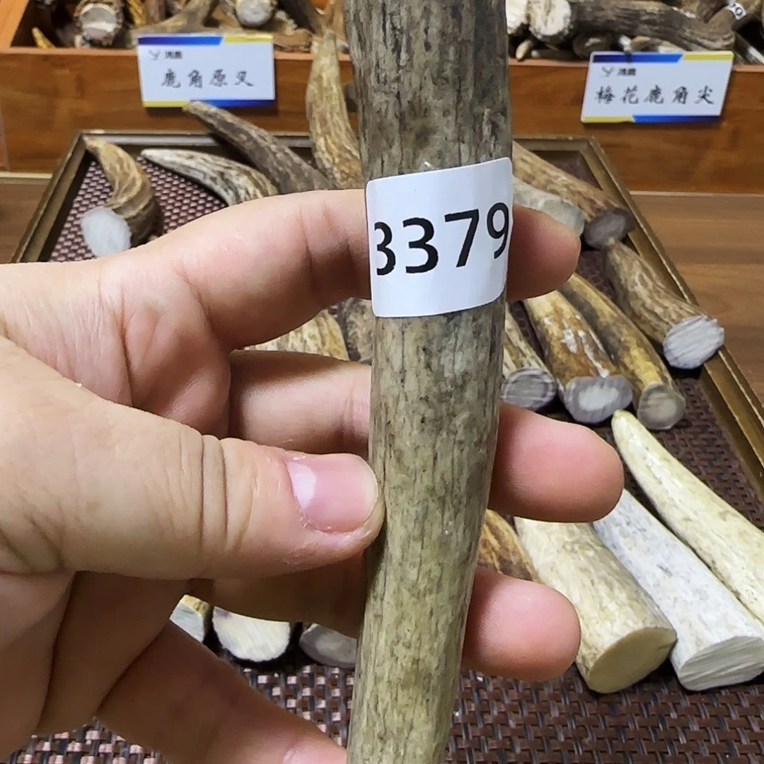 手串/手链鹿骨角尖3379