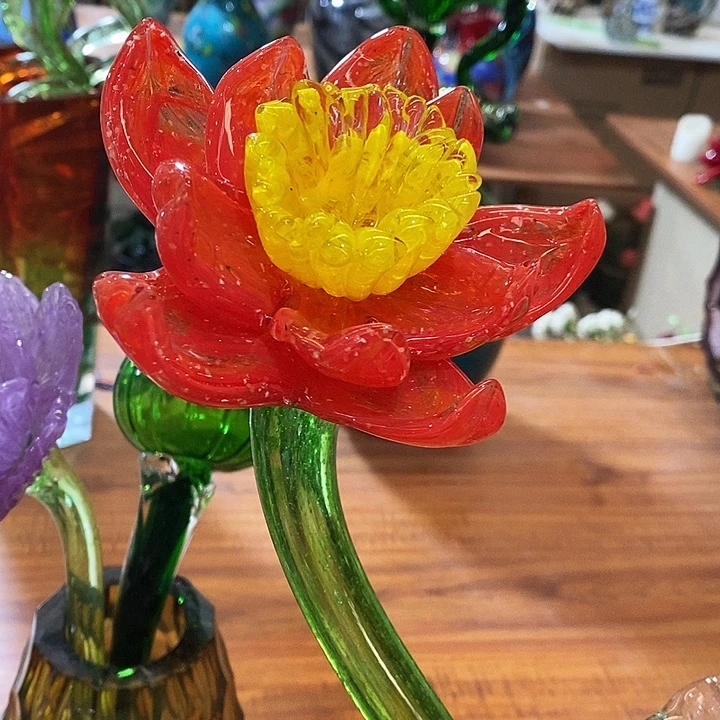 夜光花花高45厘米宽10厘米