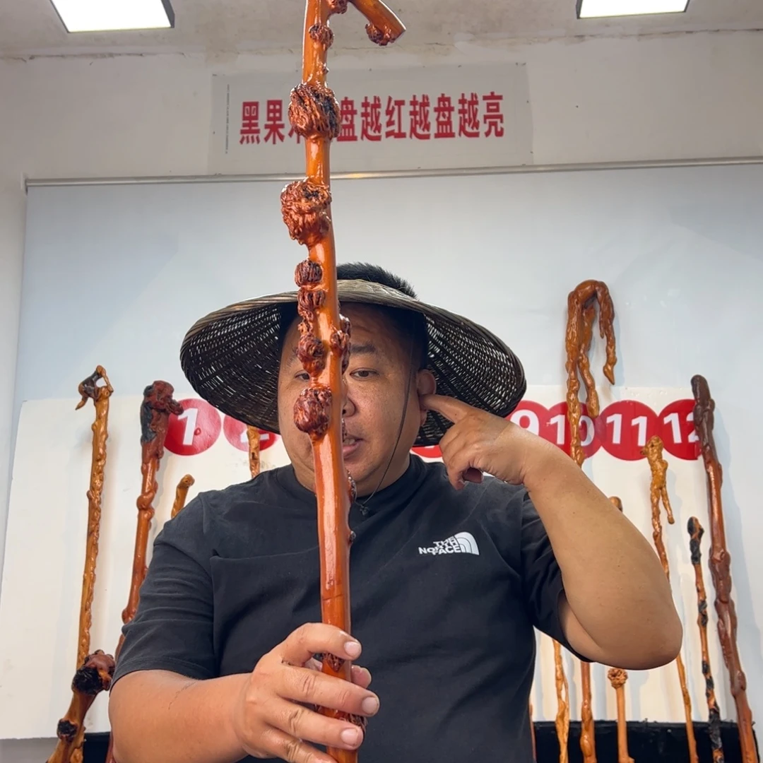 用***8黑果木其他黑果木434