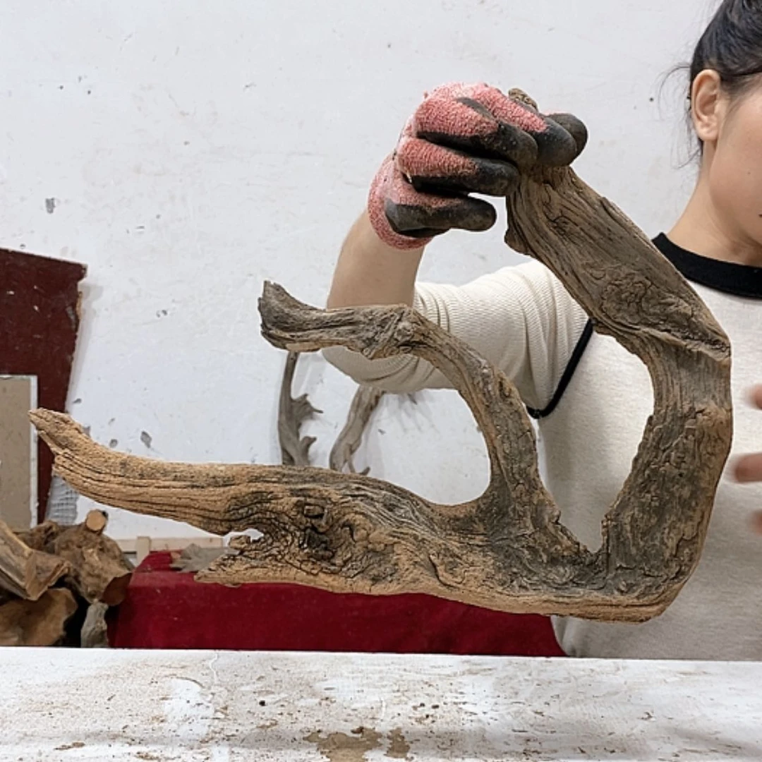 【闪购商品】柏木南**哥我们都是好孩子