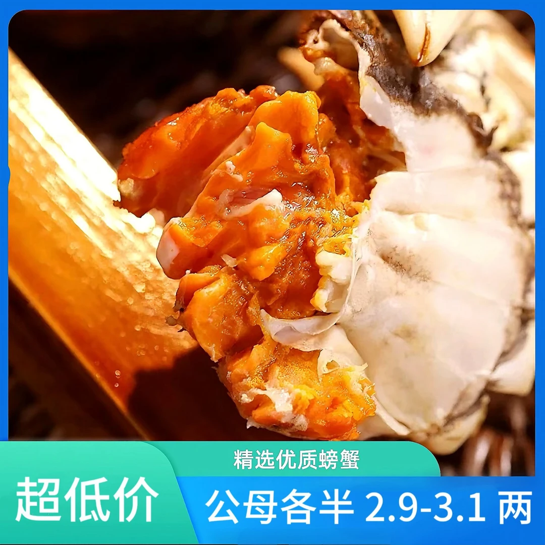 【活蟹】河蟹 公母蟹各半2.9-3.1两拍10送2 净重1700g 顺丰冷链包邮