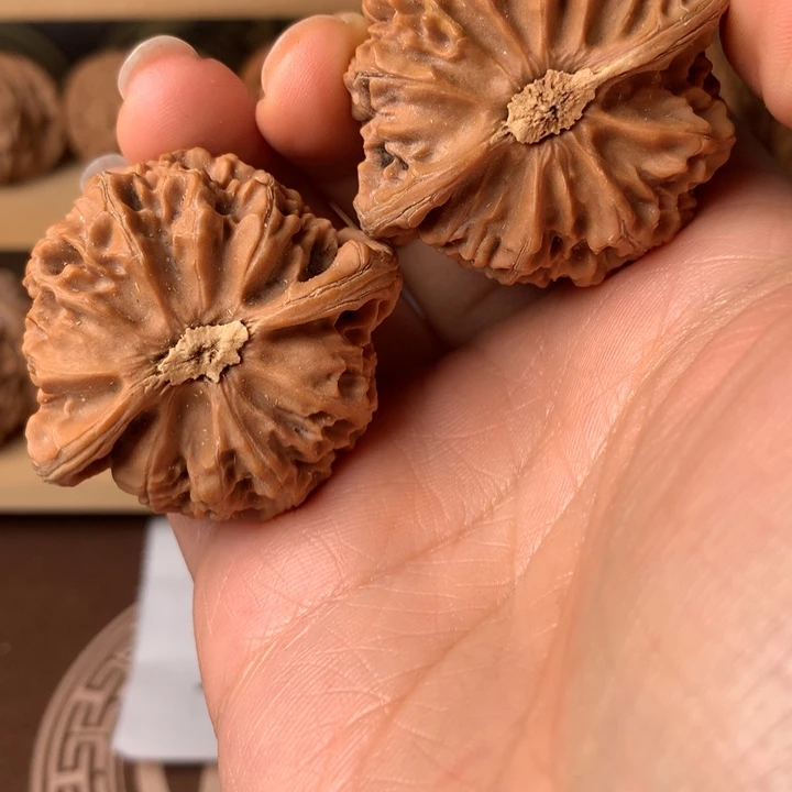 锦***生大叶紫檀（黑酸枝木类）宫灯1