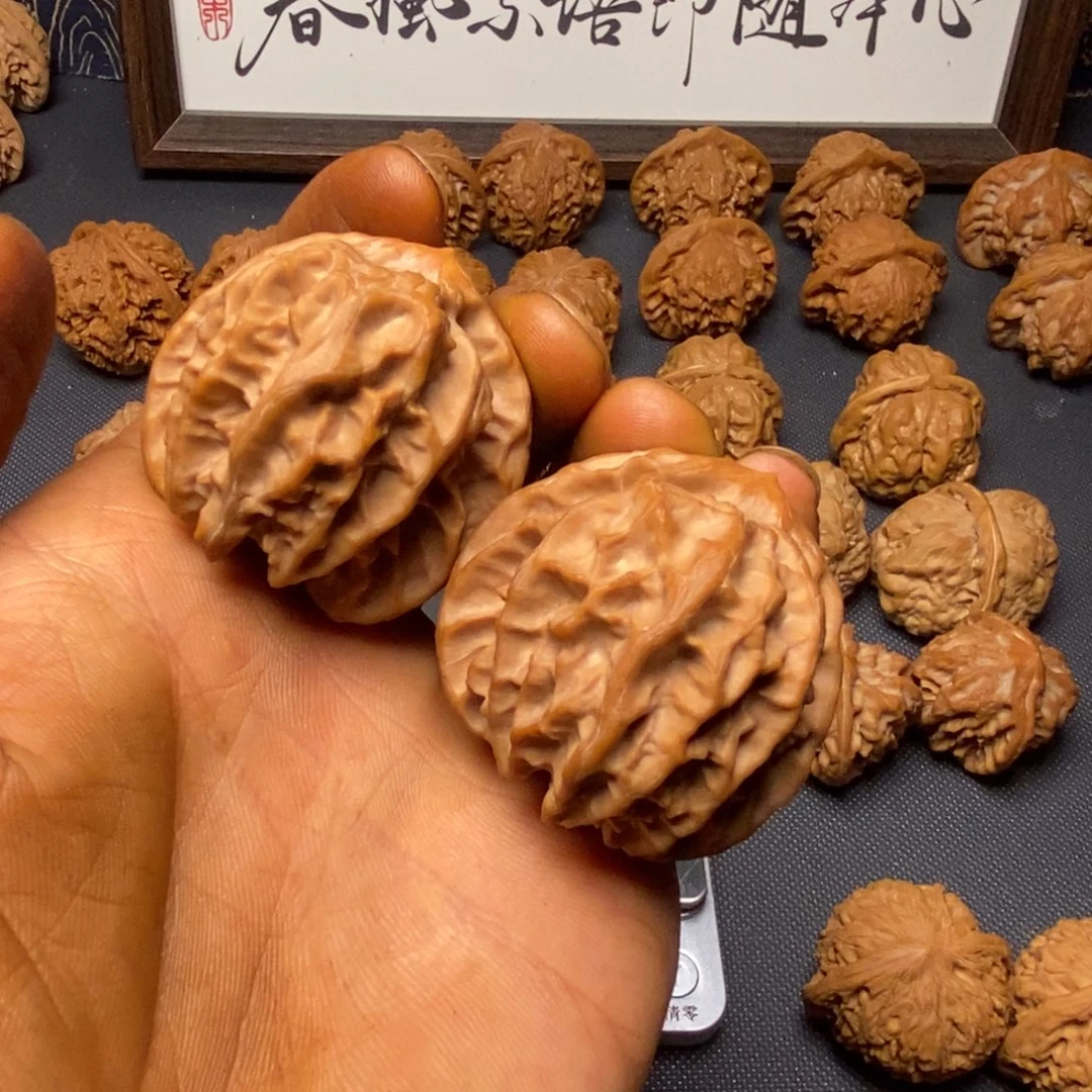 核桃曹大龙尖部有修