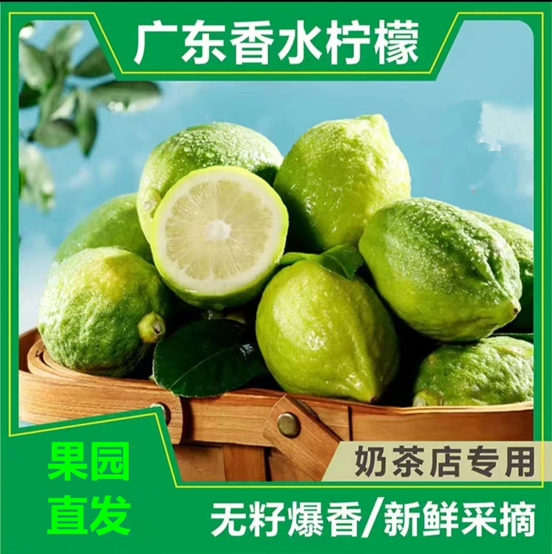 广东香水柠檬一级果无籽水果爆香新鲜果园现摘奶茶店专用1-5斤