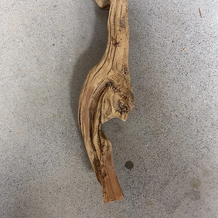 小***涂崖柏2688688845698085