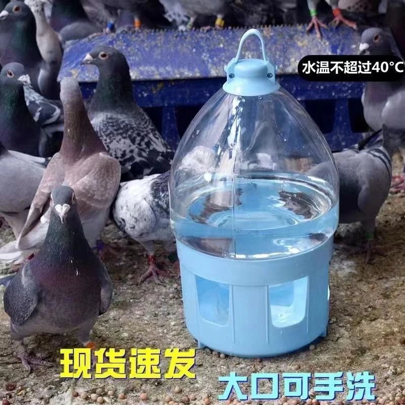 信鸽 成绩鸽 公棚鸽 鸽子水壶鸽具鸽用水壶喂水信鸽大号