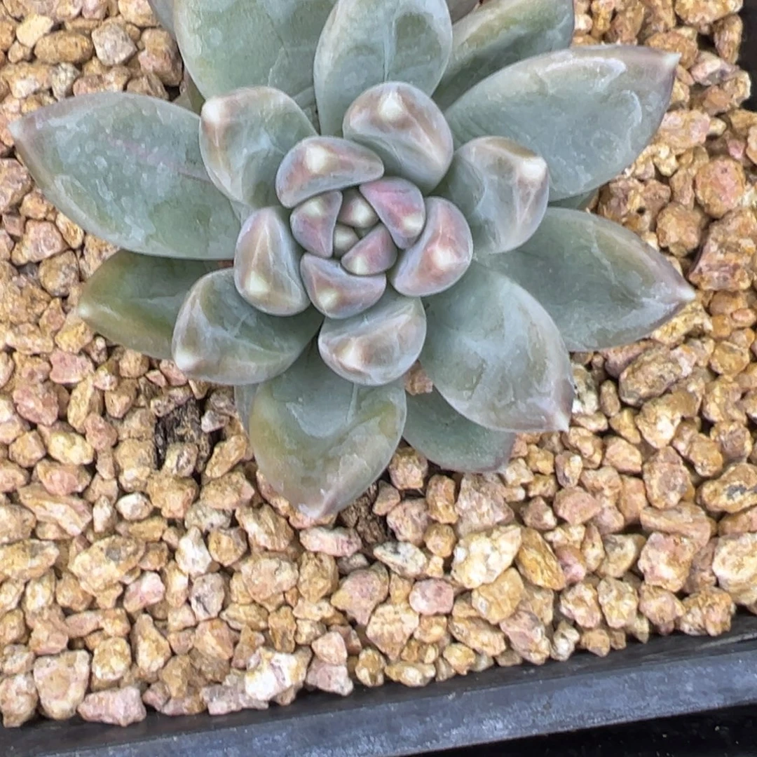 鱼****1111111111111111111111122