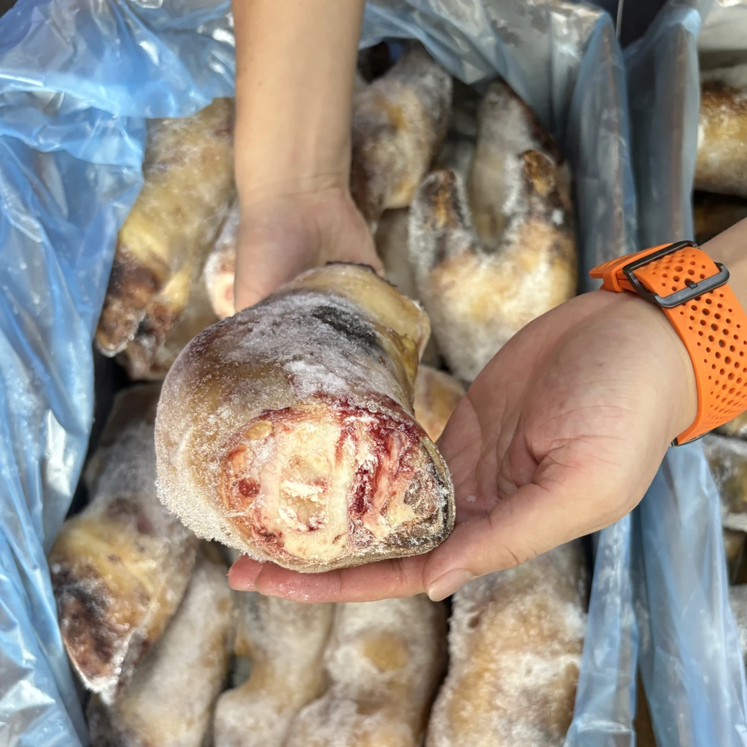 俄罗斯安格斯牛蹄火烧褪毛肉厚筋粗乡厨商用