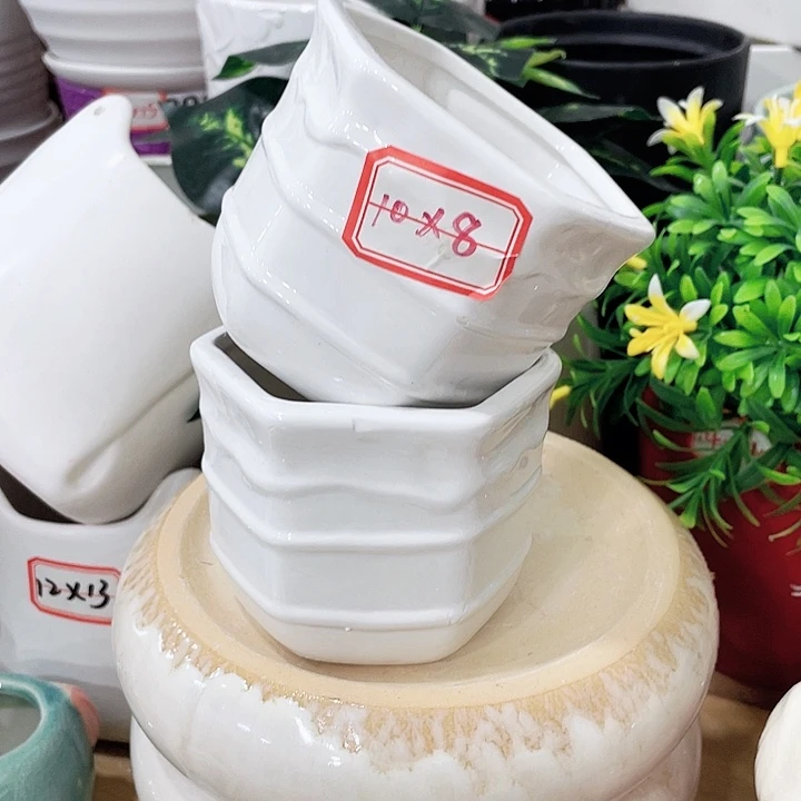 花盆花盆花盆花盆花盆花盆花盆