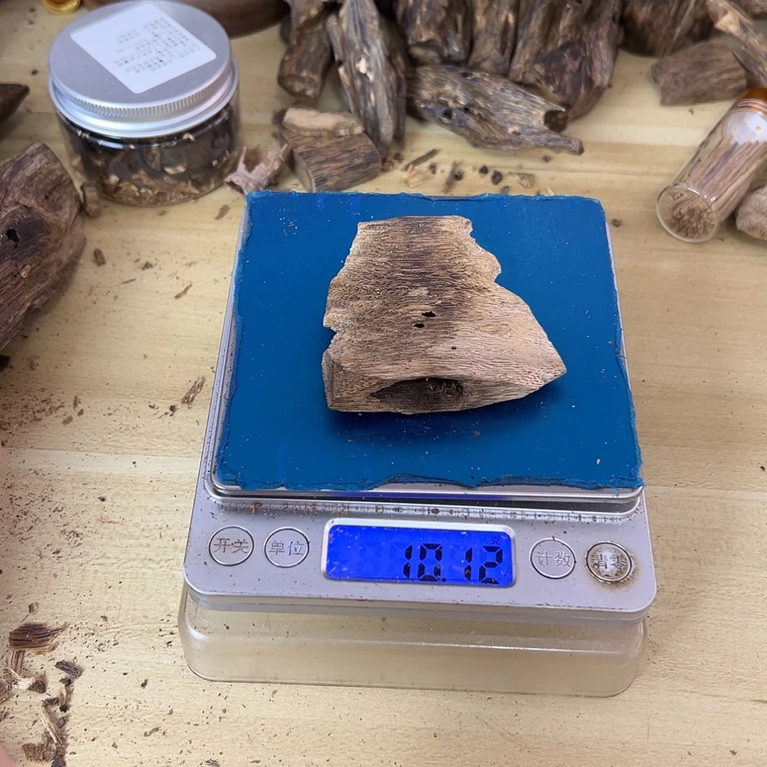 香料绿棋楠10克乌身圆叶