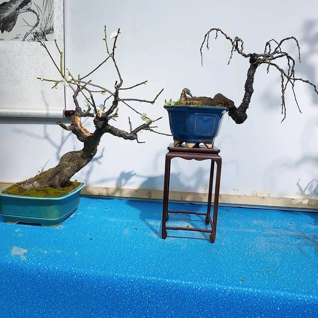 无铅玻璃芙****m