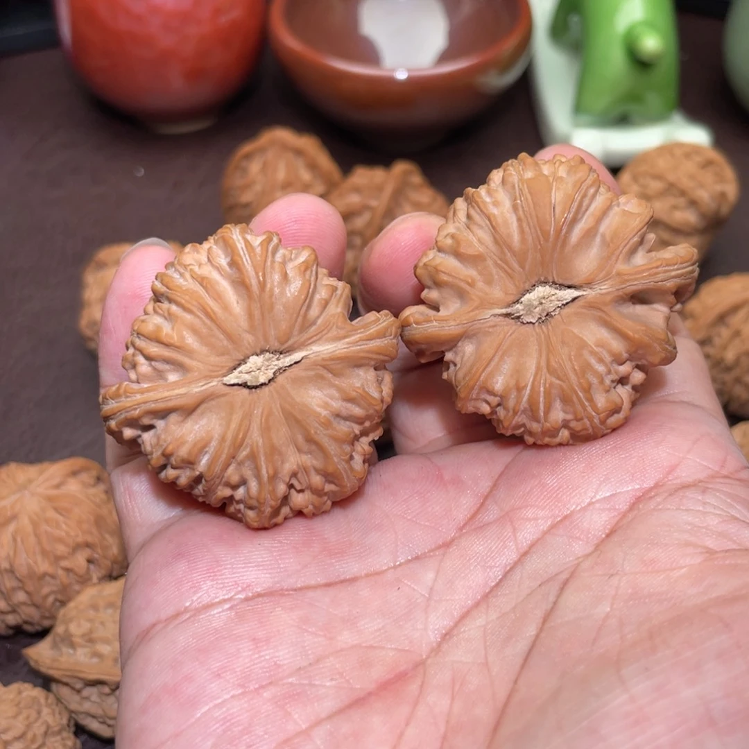 清*文玩核桃白狮子43.5全品