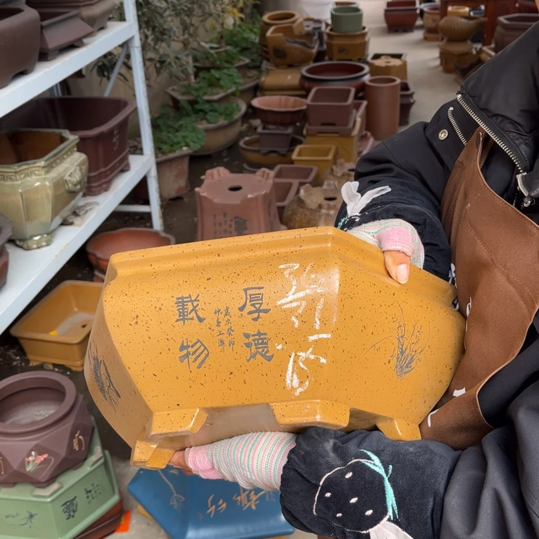 紫砂花盆盆景艺术