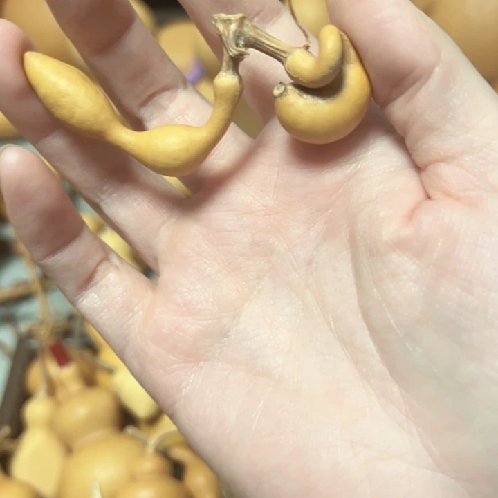 橙***子福满葫芦葫芦1231