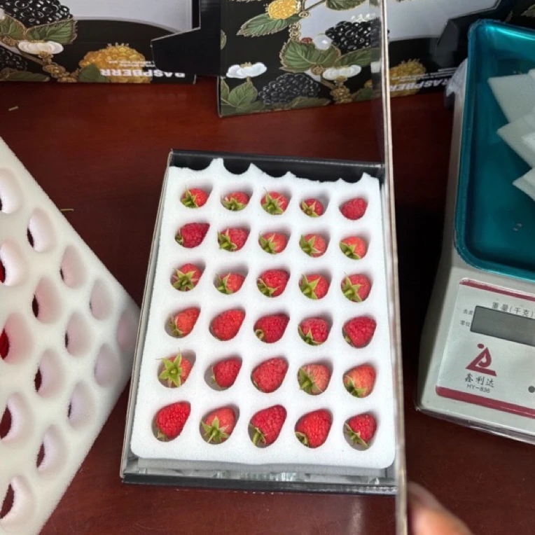 红树莓800g】鲜果红树莓新鲜Y红钻哈尔滨树莓酸甜可口顺丰空运