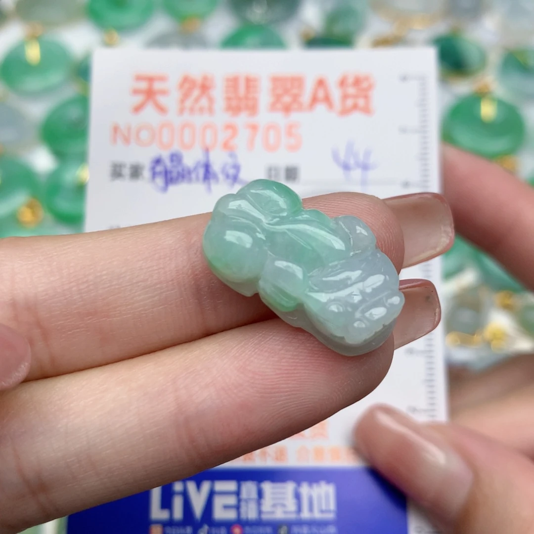 翡翠未镶嵌颈饰貔貅