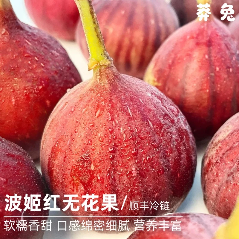 【莽兔精品】波姬红无花果鲜果现摘饱满精选大果顺丰冷链