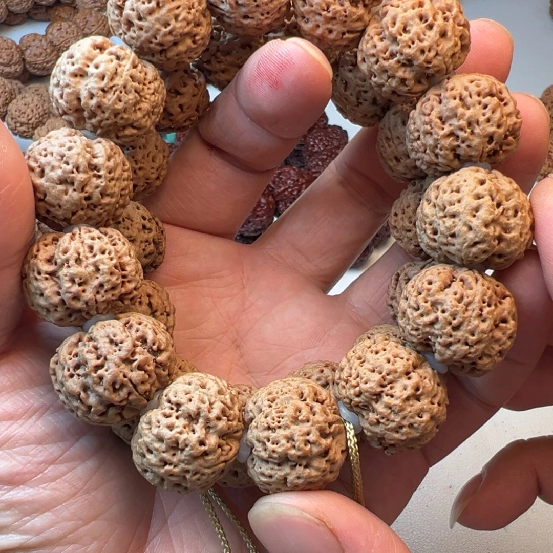金刚菩提吊坠5瓣21飓肉蜂王