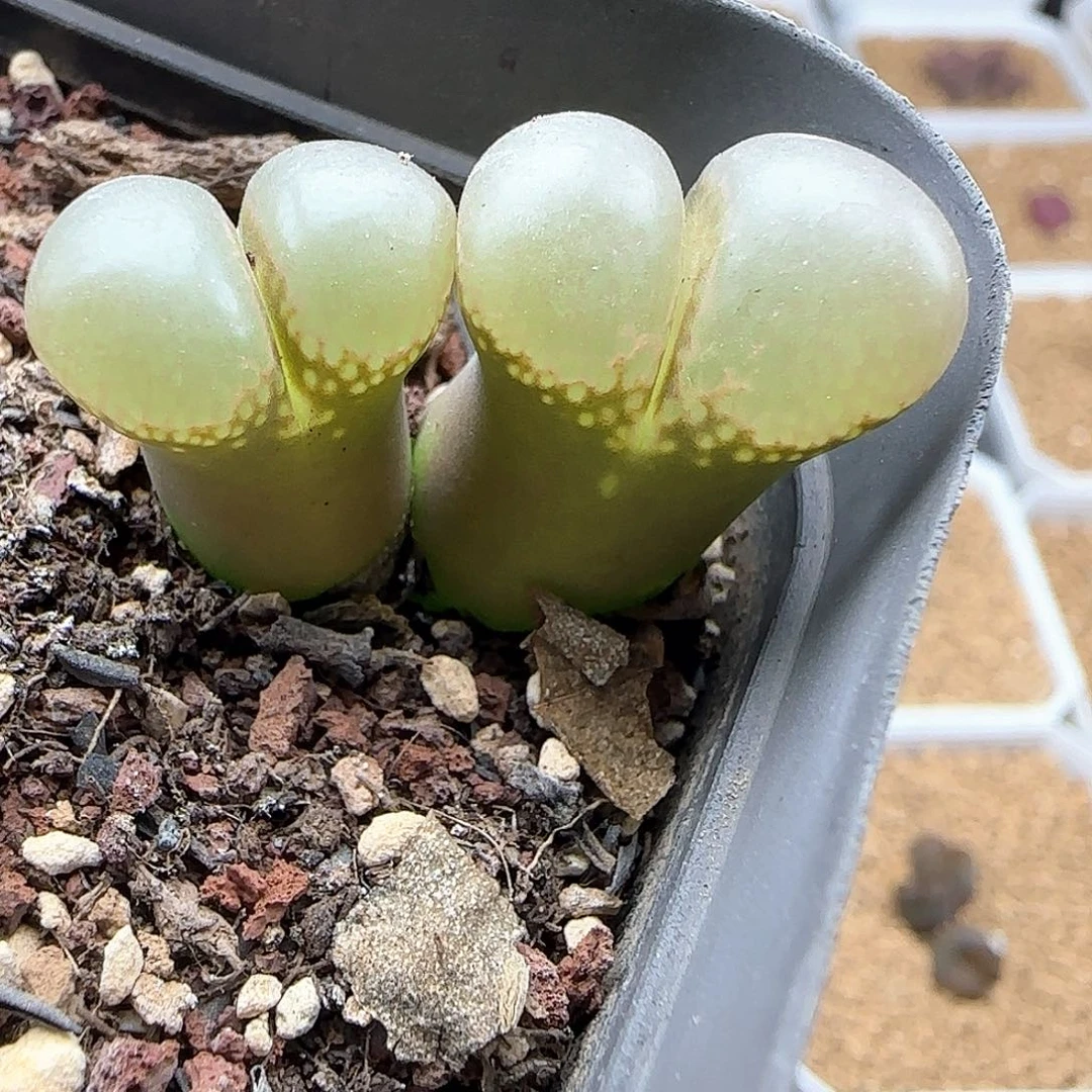 向***看哈哈哈哈哈哈哈哈46598