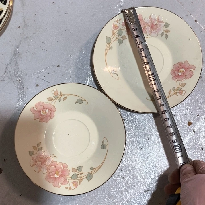 瓷片春蕾象牙瓷碟子一对