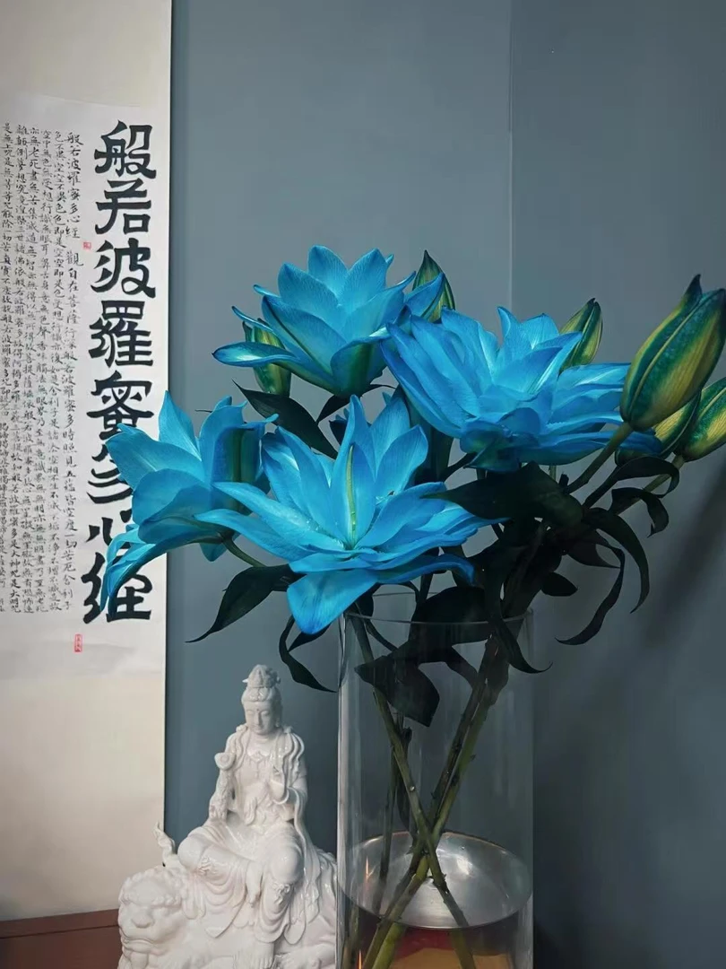 【极光蓝吸色重瓣百合】 全场任意两单京东/顺丰